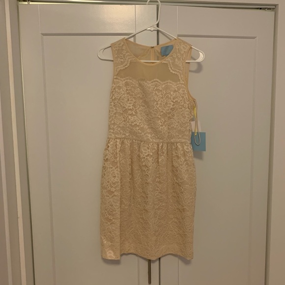 NWT Cynthia Steffe Dress Size 6 - Picture 1 of 5